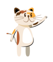 cute cat standing on two legs png