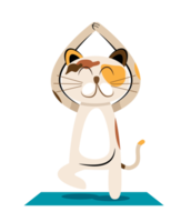 cat yoga illustration png