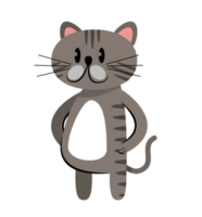 cute cat standing on two legs png