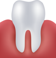 diente y encía humana. diseño realista png