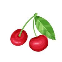 Cherry with leaves isolated on a white background. vector