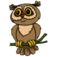 Owl cartoon animal png