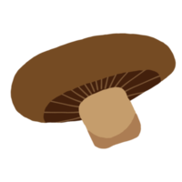 champignon, légume, nourriture saine png