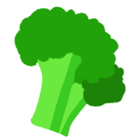 verdure fresche di broccoli png