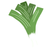 vegetales de chalota verde png