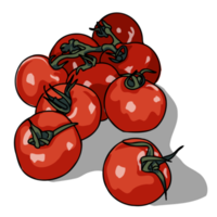 Fresh Tomato Vegetable png