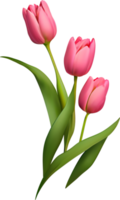 ramo de flores de tulipán rosa realista png