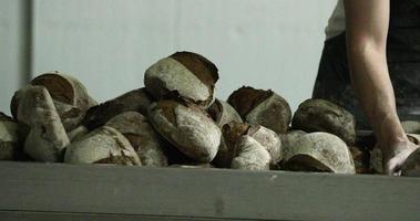 boulanger organisant la pile de pain au levain dans une boulangerie. - tir moyen, glissant video