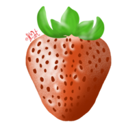 Fruit watercolor illustration png