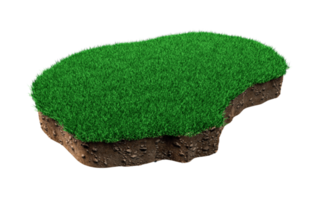 Nauru Map Grass and ground Map texture 3d illustration png