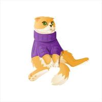 Scottish fold cat in knitted purple jersey vector