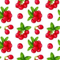 Lingonberry and leaves seamless pattern. vector