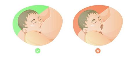 How to breastfeed a baby. Right and wrong options. Gentle vector illustration