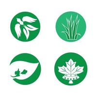 logotipo de icono de diseño de ilustración de vector de hoja