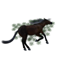 Horse pose illustration 3d rendering png