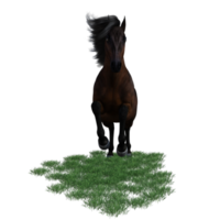 ilustração de pose de cavalo renderização em 3d png
