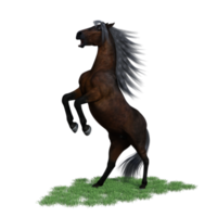 cheval pose illustration rendu 3d png