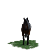 Horse pose illustration 3d rendering png