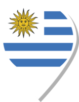 uruguay flagga checka in ikon. png