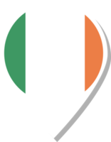 icône d'enregistrement du drapeau irlandais. png