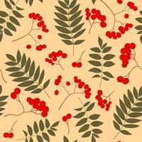 Colorful trendy pattern, variety of autumn leaves and berries. Vector illustrations for web, app and print. Elegant shapes floristic isolated rowan leaves. Forest, botanical, minimalistic floral.