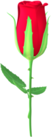 Rose flower 3D Illustration. png