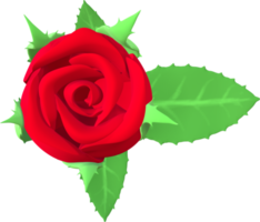 Rose flower 3D Illustration. png