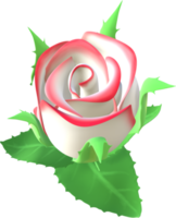 Rose flower 3D Illustration. png