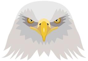 Vector illustration of the head of an American bald eagle. foreground. Vector graphics isolated on white background