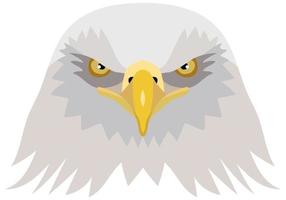 Vector illustration of the head of an American bald eagle. foreground. Vector graphics isolated on white background