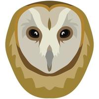 Cute Barn Owl face vector illustration in decorative style, perfect for tshirt design and mascot logo