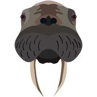 Big walrus vector head isolated on white background