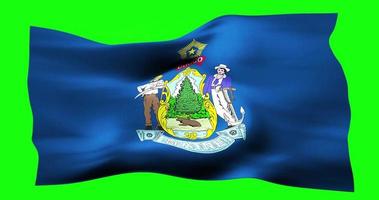 Flag of Maine realistic waving on green screen. Seamless loop animation with high quality video