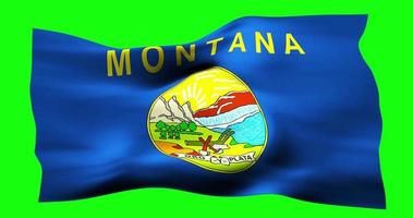 bandera de montana ondeando realista en pantalla verde. animación en bucle sin interrupciones con alta calidad video