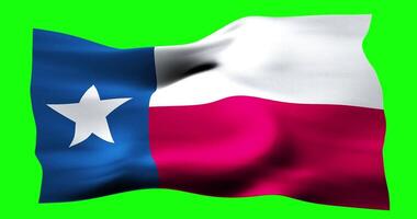 Flag of Texas realistic waving on green screen. Seamless loop animation with high quality video