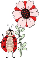 ladybug  with  flower png