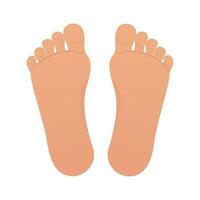 Bare Feet isolated vector illustration cartoon graphic