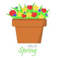 Flowers in pot. Hello spring card square banner. Vector illustration.