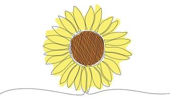 Hand draw sunflower with color. Vector illustration. One continuous line. Line art.