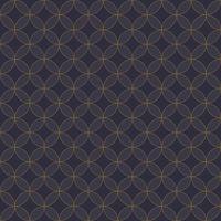 elegant circle pattern in dark background vector