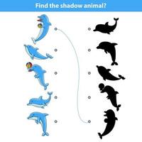 A children's educational game with dolphins called find the correct shadow. Vector illustration