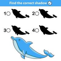 A children's educational game with dolphins called find the correct shadow. Vector illustration