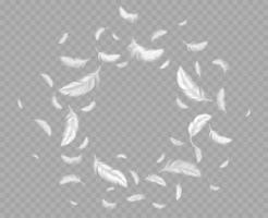 Feathers frame, round border of white fluffy down vector