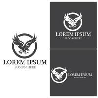 Falcon Logo Template vector