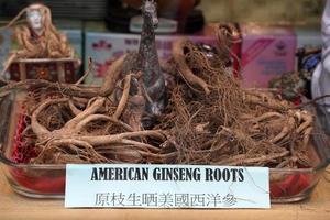 raíz de ginseng americano de chinatown nueva york foto