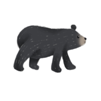 fofo urso preto, estilo desenhado à mão em aquarela. png