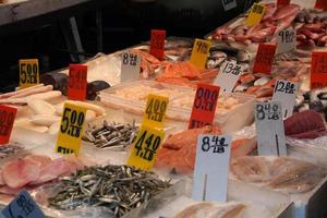 new york chinatown fish market photo