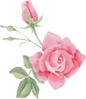 buquê de flores rosa aquarela para dia dos namorados