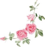 ramo de flores rosa rosa acuarela para el día de san valentín png