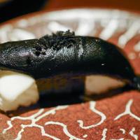 orca meat style sushi detail photo